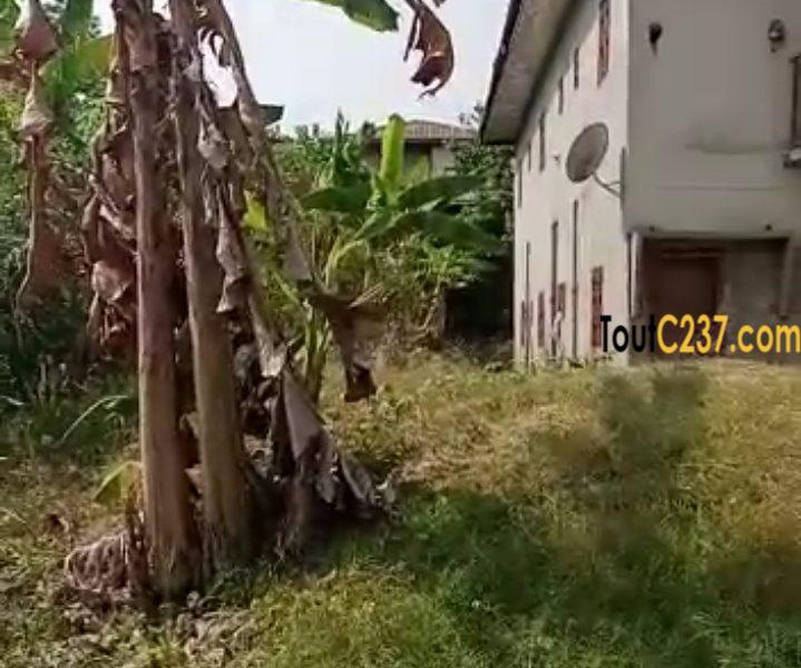 Terrain à vendre à Japoma Douala
