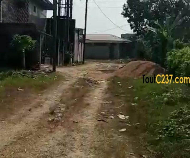 Terrain à vendre à Japoma Douala