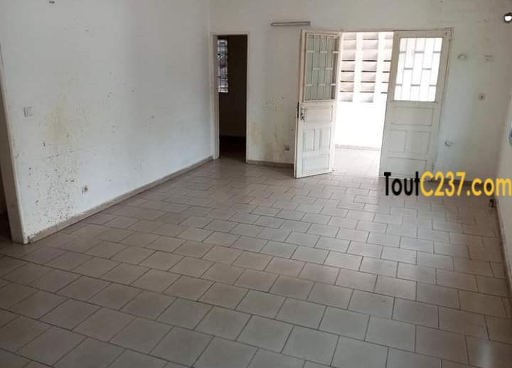 Appartement à louer à Bonapriso