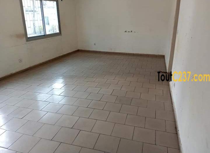 Appartement à louer à Bonapriso