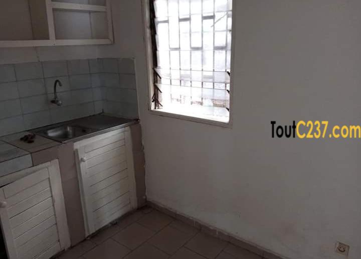 Appartement à louer à Bonapriso