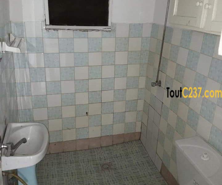 Appartement à louer à Bonapriso