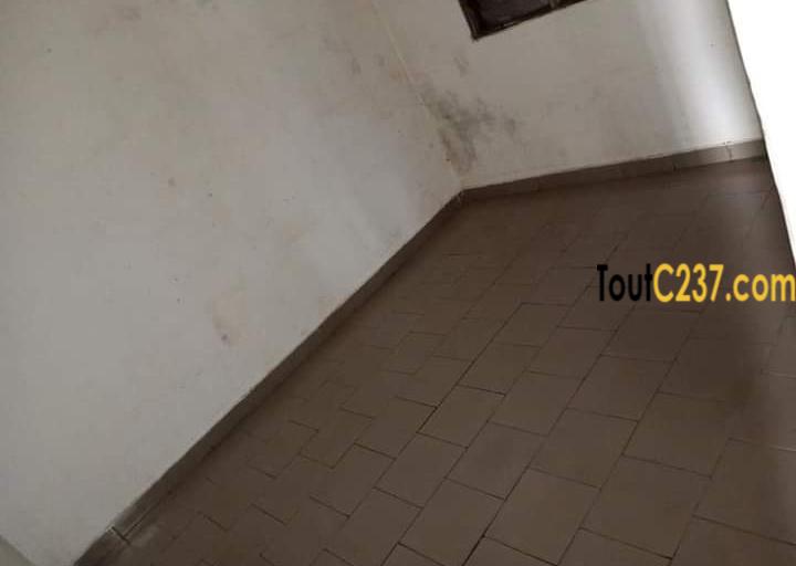 Appartement à louer à Bonapriso