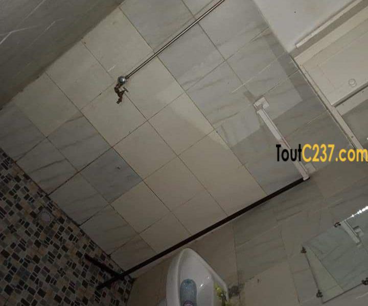 Appartement à louer à Bonapriso