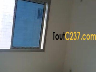 Appartement neuf à louer à Bonamoussadi