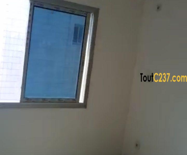 Appartement neuf à louer à Bonamoussadi