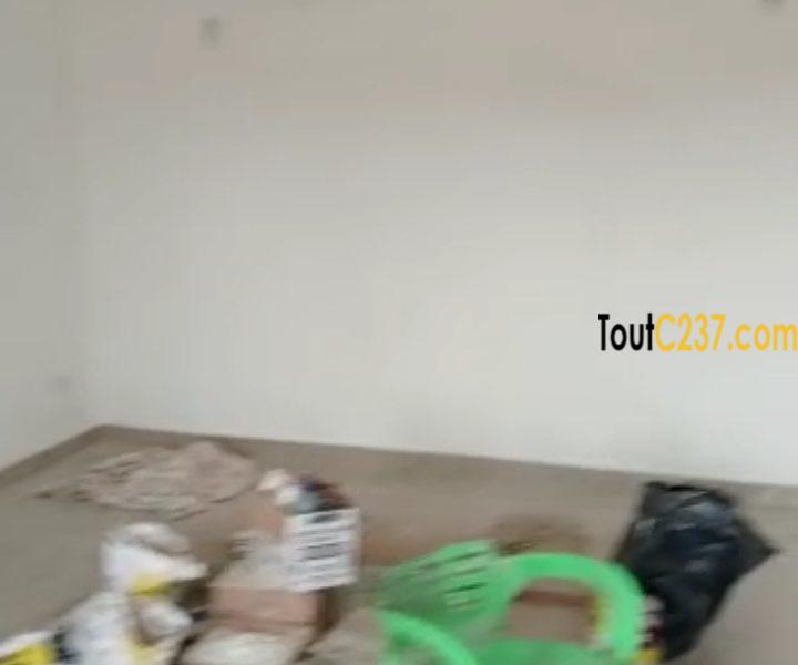 Appartement neuf à louer à Bonamoussadi