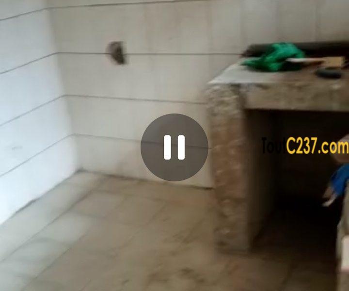 Appartement neuf à louer à Bonamoussadi