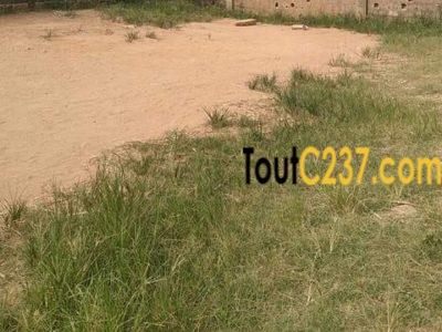 Terrain à vendre à a Bonanjo