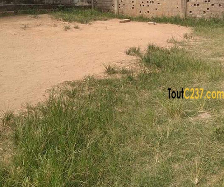 Terrain à vendre à a Bonanjo