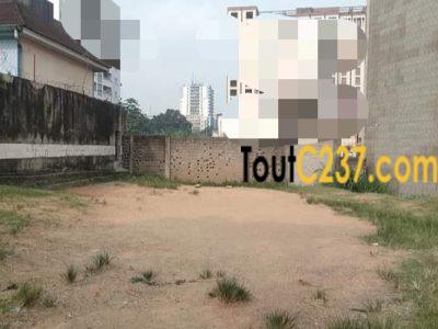 Terrain à vendre à Bali, Douala