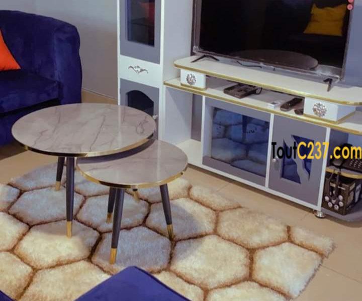 Appartement meublé à louer à Bonamoussadi
