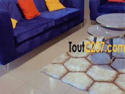 Appartement meublé à louer à Bonamoussadi