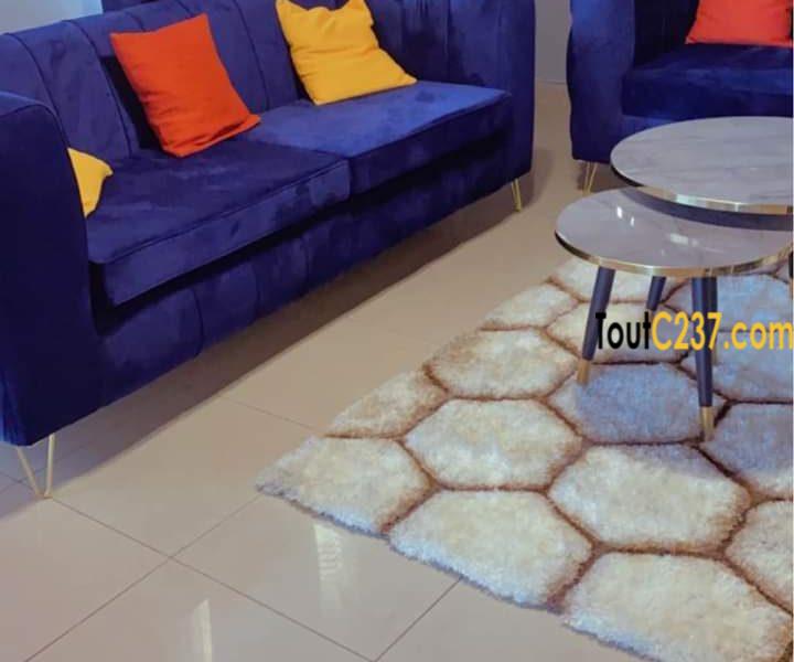 Appartement meublé à louer à Bonamoussadi