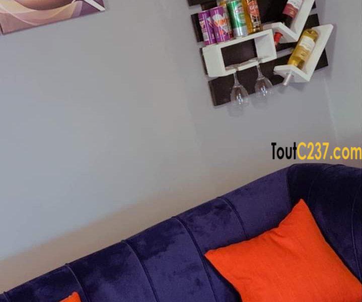 Appartement meublé à louer à Bonamoussadi