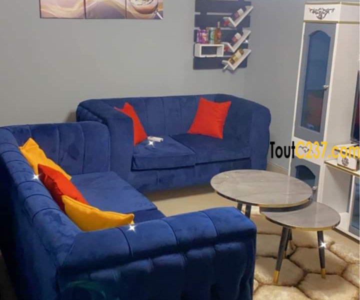 Appartement meublé à louer à Bonamoussadi
