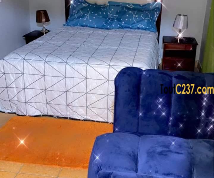 Appartement meublé à louer à Bonamoussadi