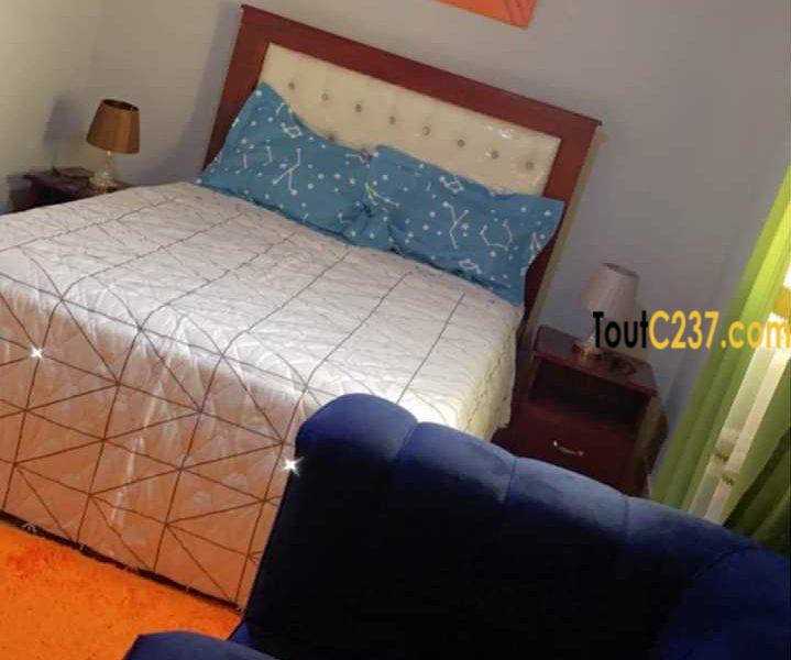 Appartement meublé à louer à Bonamoussadi