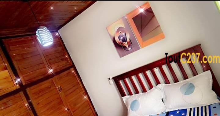 Appartement meublé à louer à Bonamoussadi
