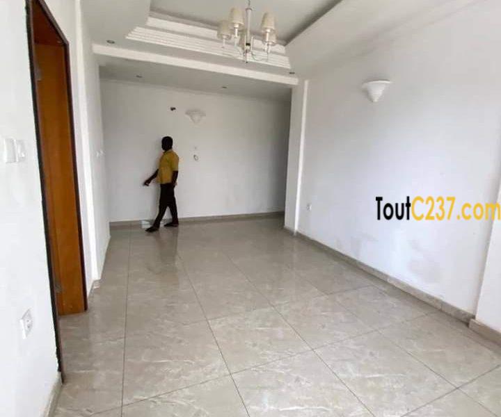 Appartement neuf à louer à Bonapriso