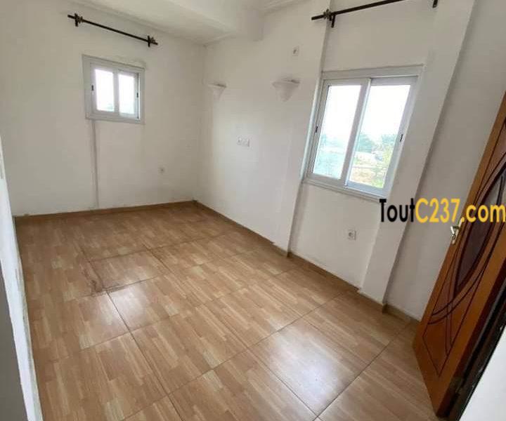 Appartement neuf à louer à Bonapriso