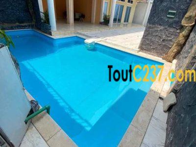 Appartement neuf à louer à Bonapriso