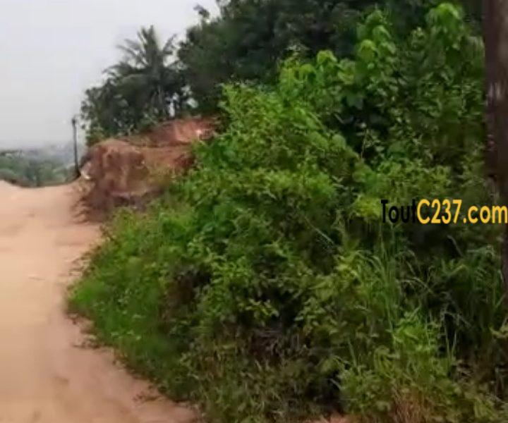 Terrain d'angle à vendre a Logbessou (isicom)