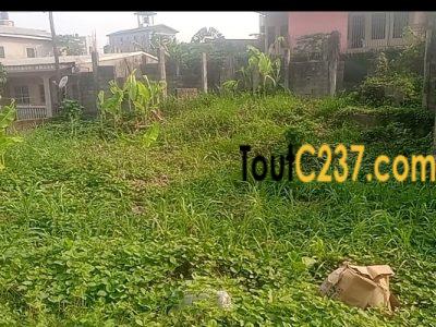 Terrain à vendre à Kotto Bangue