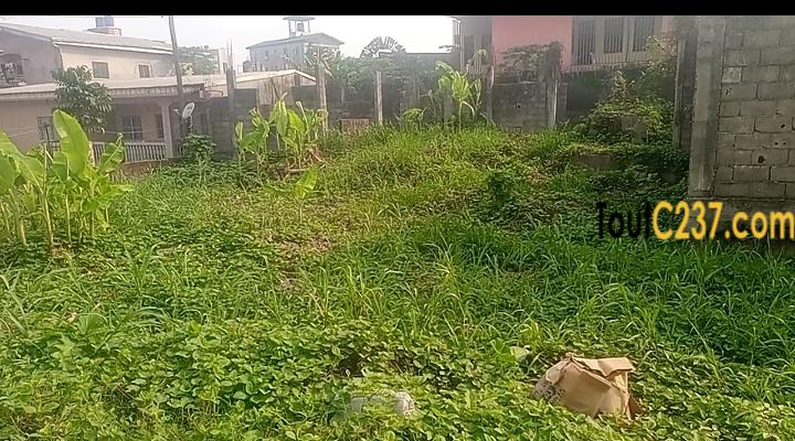 Terrain à vendre à Kotto Bangue