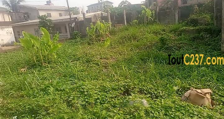 Terrain à vendre à Kotto Bangue