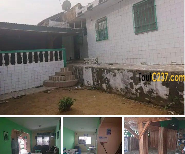Maison à vendre à Kotto, Douala
