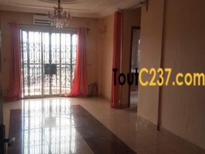 Appartement à louer â Bonapriso Douala