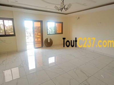 Appartement à louer à Bonapriso Douala