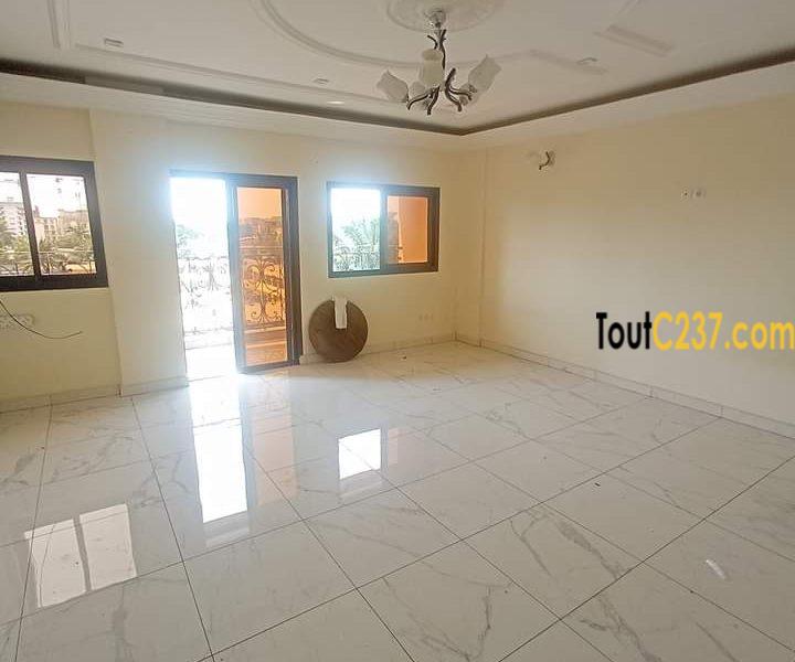 Appartement à louer à Bonapriso Douala