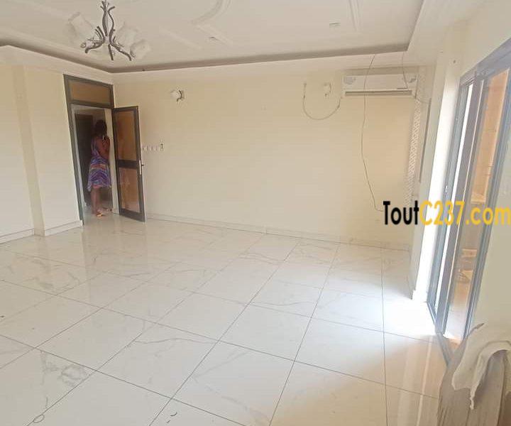 Appartement à louer à Bonapriso Douala