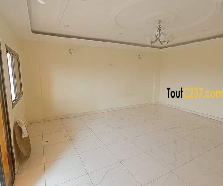 Appartement à louer à Bonapriso Douala