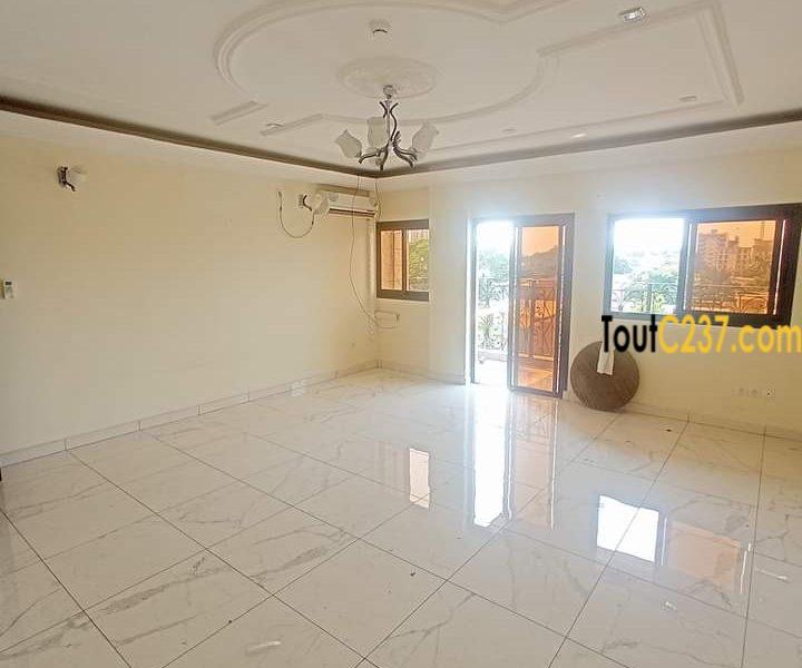Appartement à louer à Bonapriso Douala