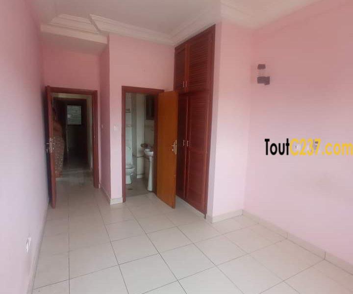 Appartement à louer à Bonapriso Douala