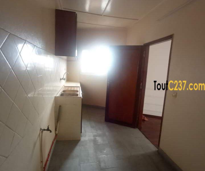 Studio moderne à louer à Bonapriso