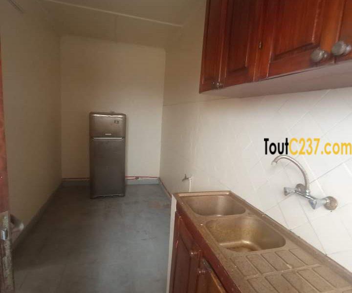 Studio moderne à louer à Bonapriso