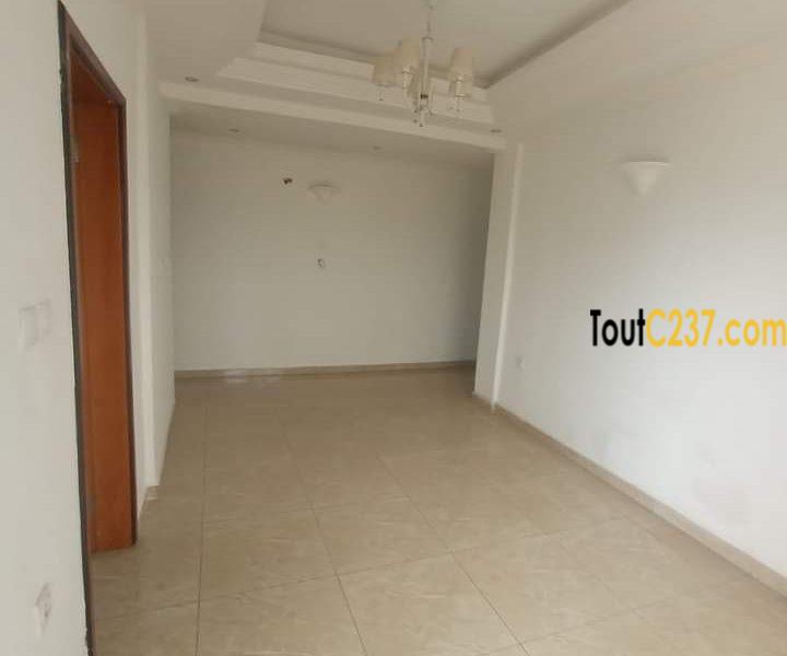 Appartement à louer à Bonapriso Douala