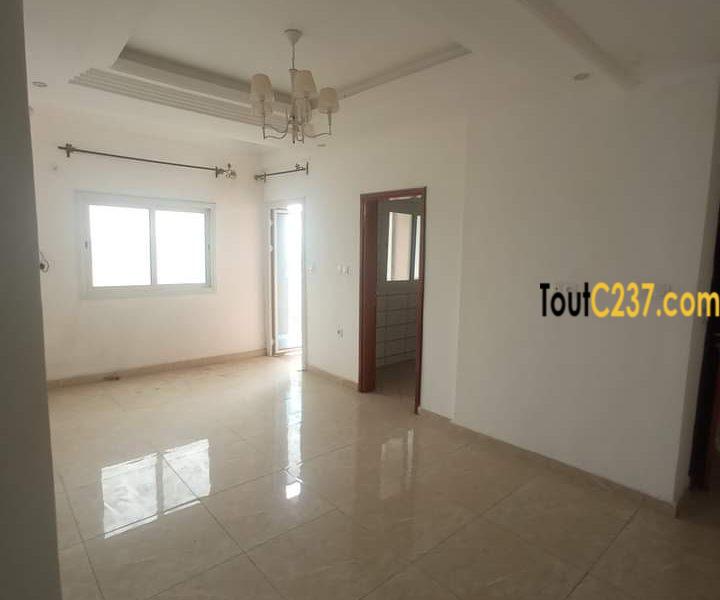 Appartement à louer à Bonapriso Douala