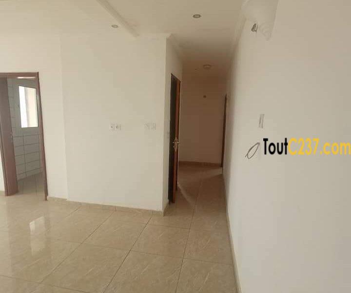 Appartement à louer à Bonapriso Douala