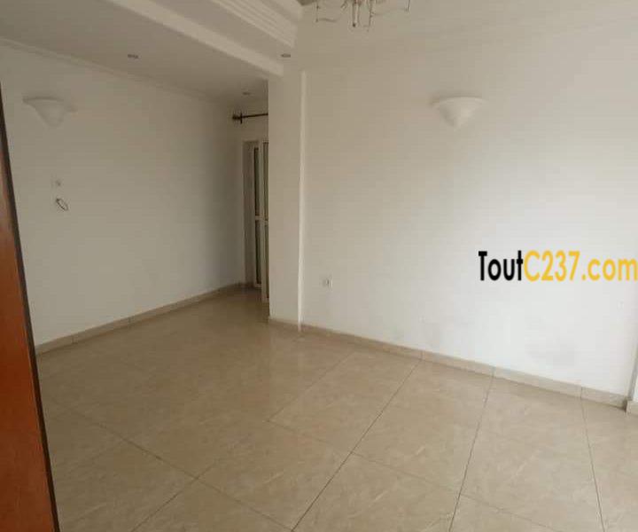 Appartement à louer à Bonapriso Douala