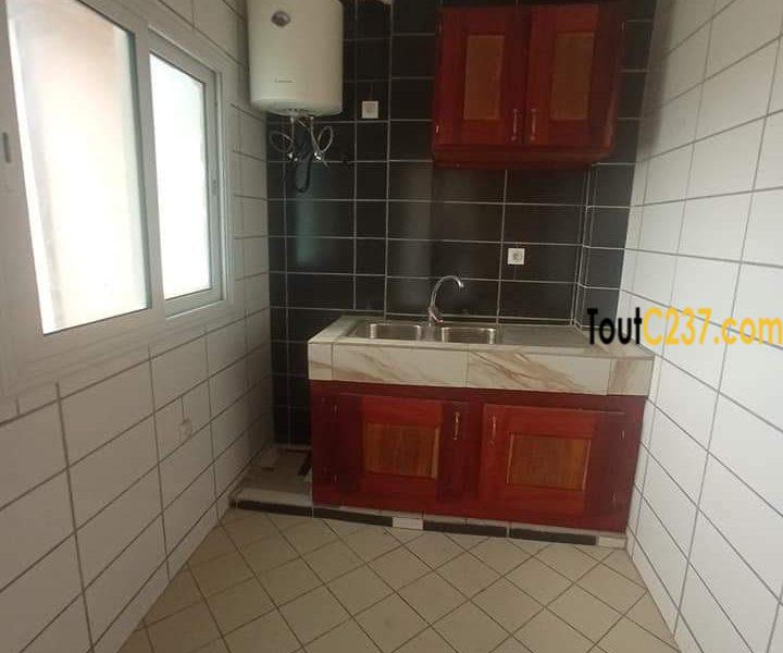 Appartement à louer à Bonapriso Douala