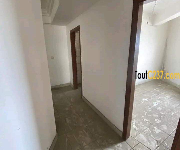 Appartement pour bureau à louer Akwa