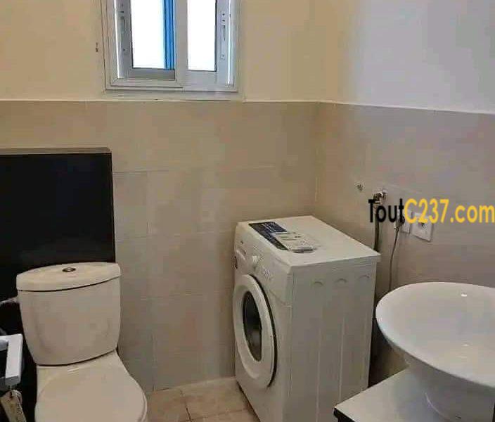 Appartement à louer à Bonapriso Douala