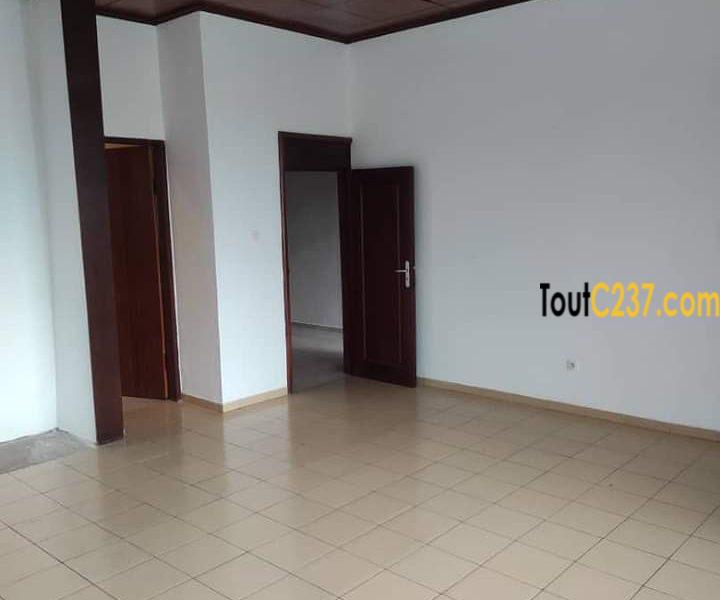 Maison en duplex à louer à Bonapriso