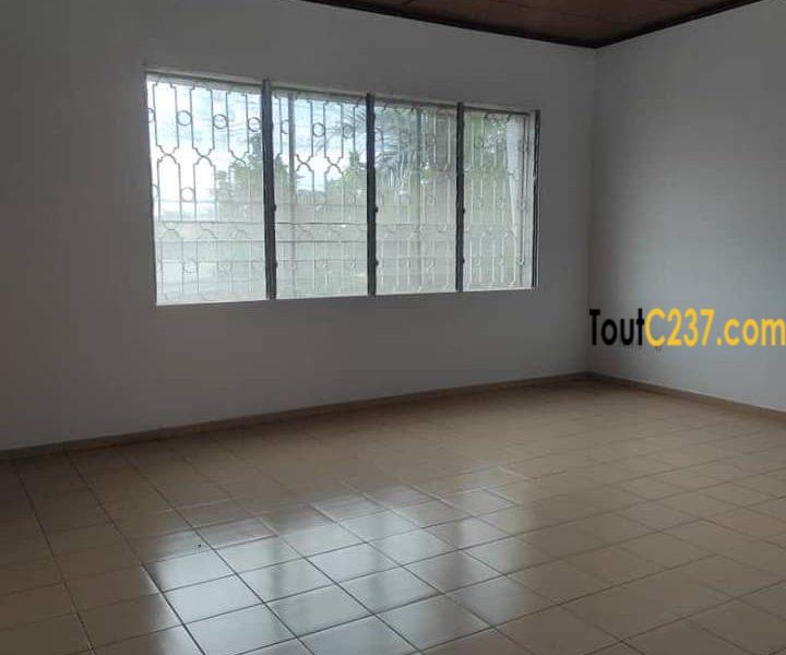 Maison en duplex à louer à Bonapriso