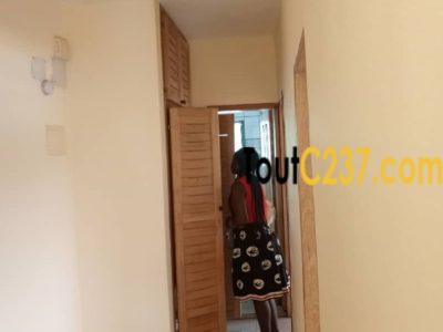 Appartement à louer à Bonamoussadi